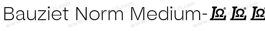 Bauziet Norm Medium字体转换